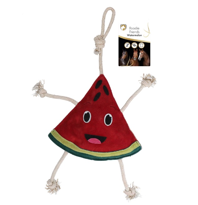 GIOCO PER CAVALLI - FRIENDS WATERMELON  